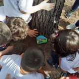 �A volte faccio in modo che siano gli anziani e i bambini a trovare i miei lavori � svela Francesco �. Cos� mi reco ad esempio nelle case di riposo o negli asili, dove lascio i sassi alle maestre affidando loro il compito di sparpagliarli...